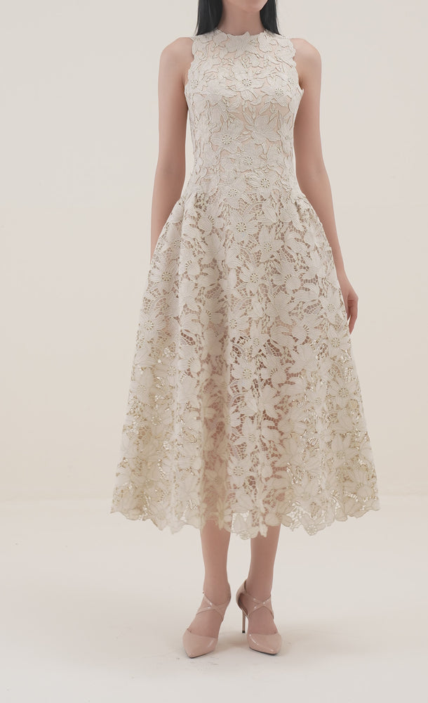 
            
                Load and play video in Gallery viewer, Dove Wing Lace Midi Dress
            
        