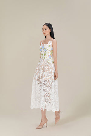 Roses Lace Dress
