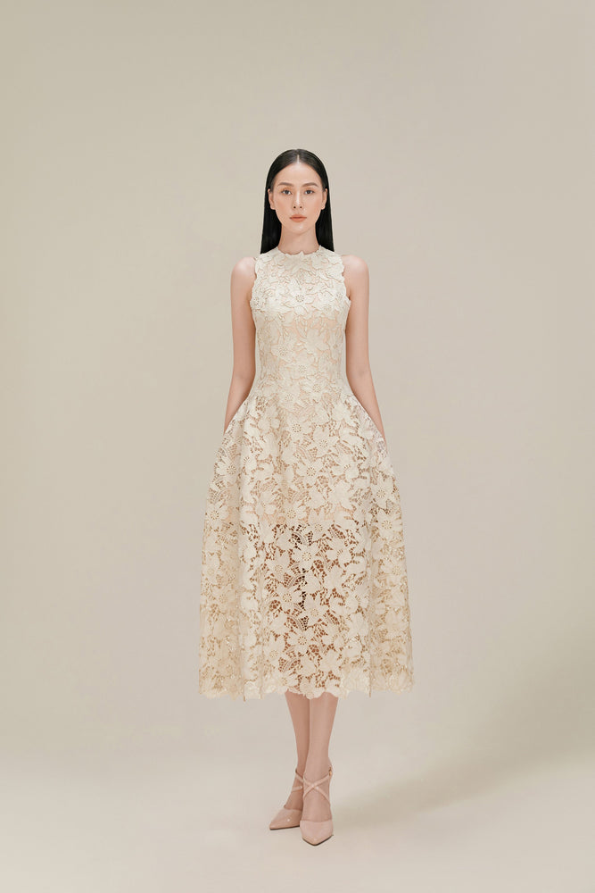 Dove Wing Lace Midi Dress