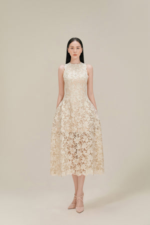 Dove Wing Lace Midi Dress