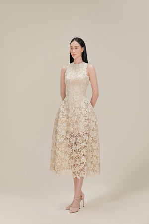 Dove Wing Lace Midi Dress
