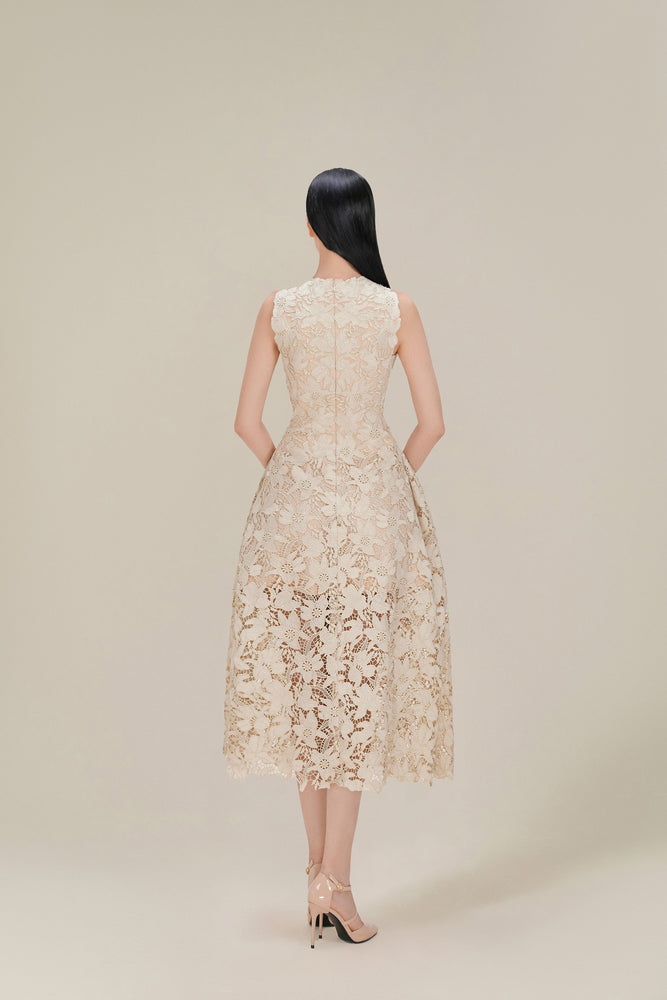 Dove Wing Lace Midi Dress