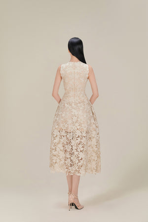 Dove Wing Lace Midi Dress