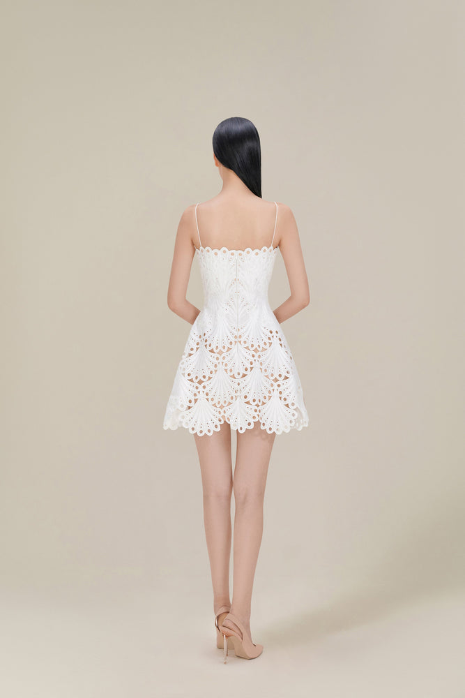 Scallop Lace Mini Dress