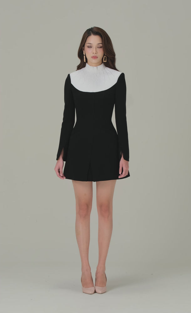 
            
                Load and play video in Gallery viewer, BLACK SMOCKED MINI DRESS
            
        