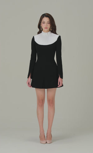 
            
                Load and play video in Gallery viewer, BLACK SMOCKED MINI DRESS
            
        