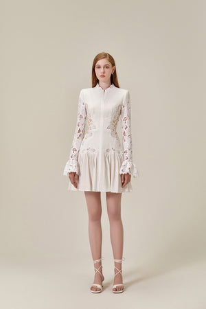 Lace Embroidered Mini Dress