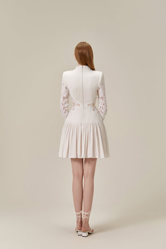 Lace Embroidered Mini Dress