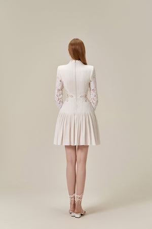 Lace Embroidered Mini Dress
