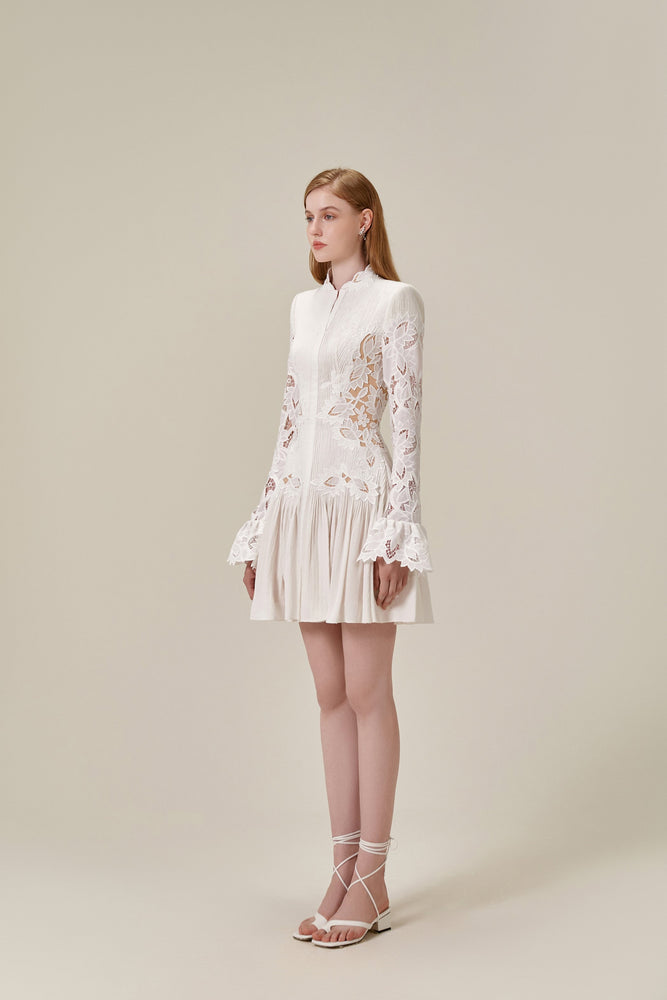 Lace Embroidered Mini Dress
