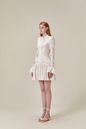Lace Embroidered Mini Dress