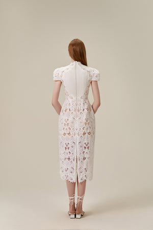 Lace Embroidered Midi Dress