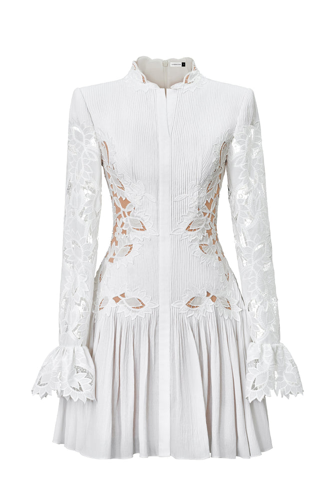 
            
                Load image into Gallery viewer, Lace Embroidered Mini Dress
            
        