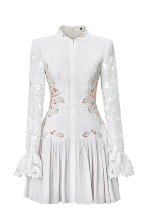 Lace Embroidered Mini Dress