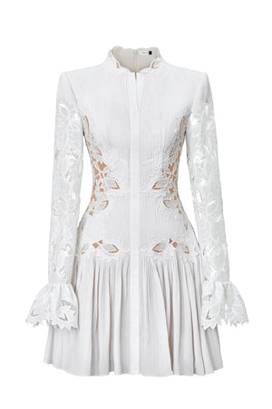 
            
                Load image into Gallery viewer, Lace Embroidered Mini Dress
            
        
