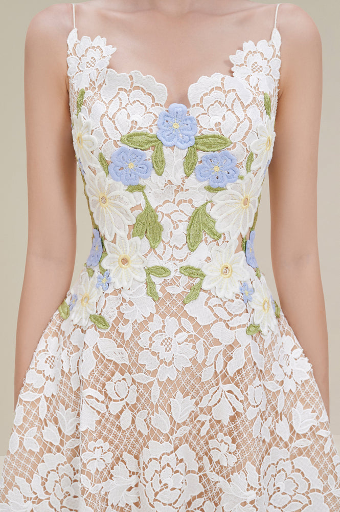 Roses Lace Dress
