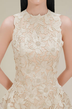 Dove Wing Lace Midi Dress