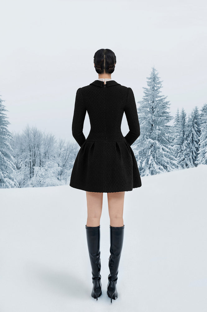 Black Flared Mini Dress
