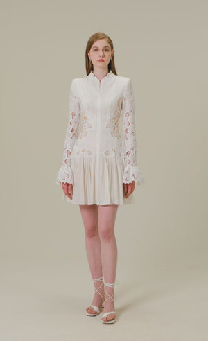
            
                Load and play video in Gallery viewer, Lace Embroidered Mini Dress
            
        