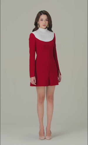 
            
                Load and play video in Gallery viewer, RED SMOCKED MINI DRESS
            
        
