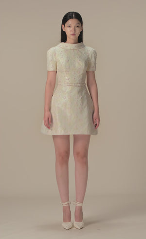 
            
                Load and play video in Gallery viewer, BEADED BROCADE COWL NECK DRESS
            
        